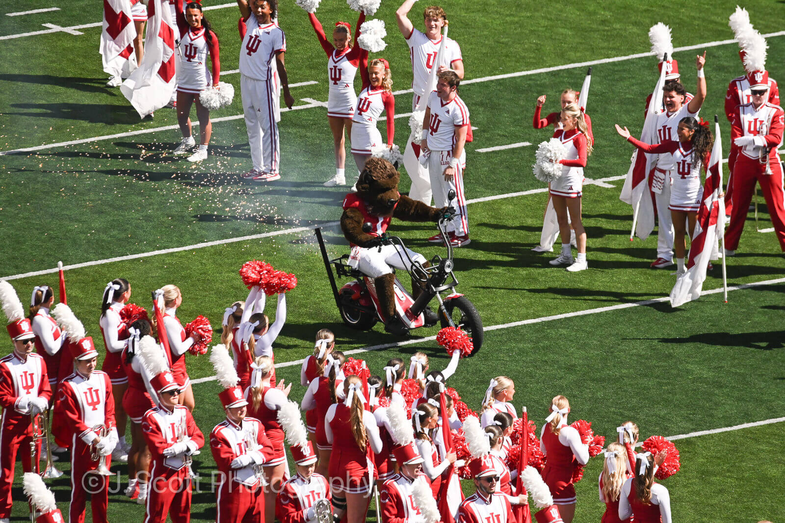 Hoosier the Bison takes the field at Memorial Stadium.