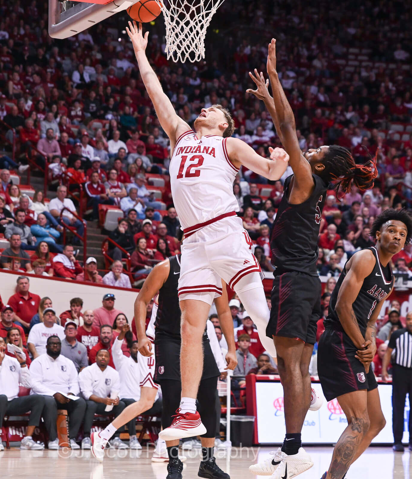 Photos of IU basketball's 98-51 win against Alabama A&M.