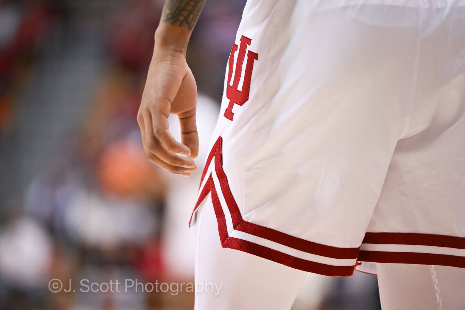 Photos of IU basketball's 101-70 win against Milwaukee at Simon Skjodt Assembly Hall.