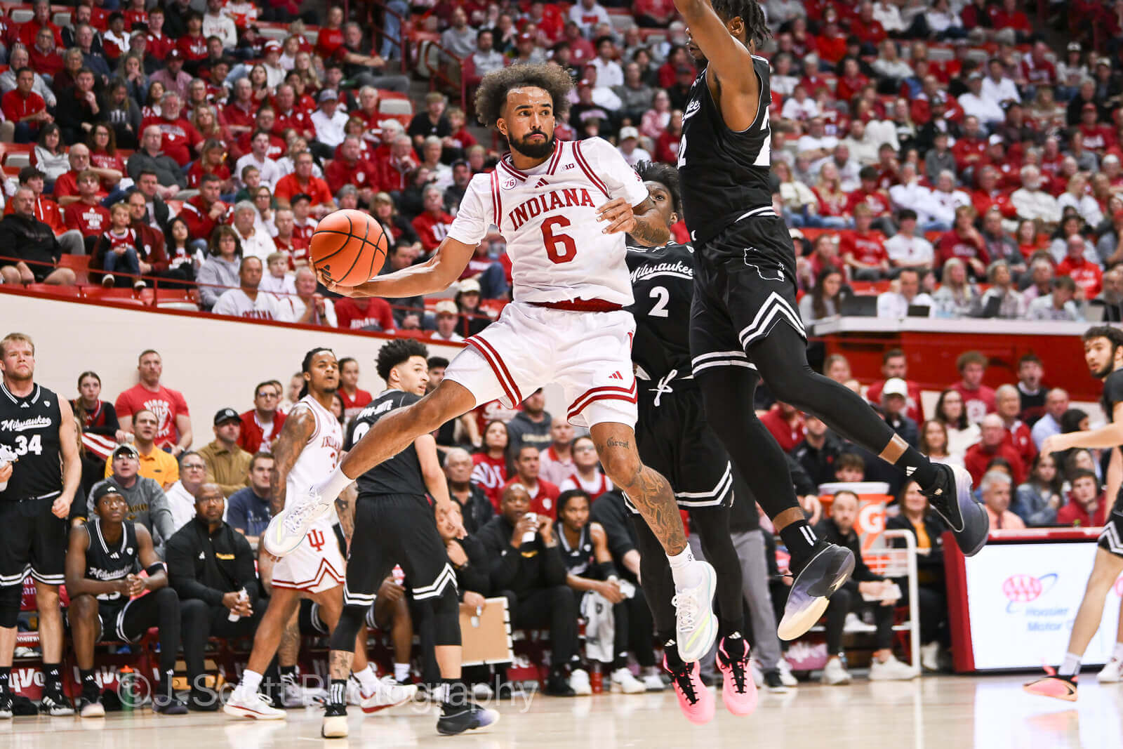 IU basketball rises to No. 19 in USA Today coaches poll, No. 22 in AP top 25 poll – Inside the Hall