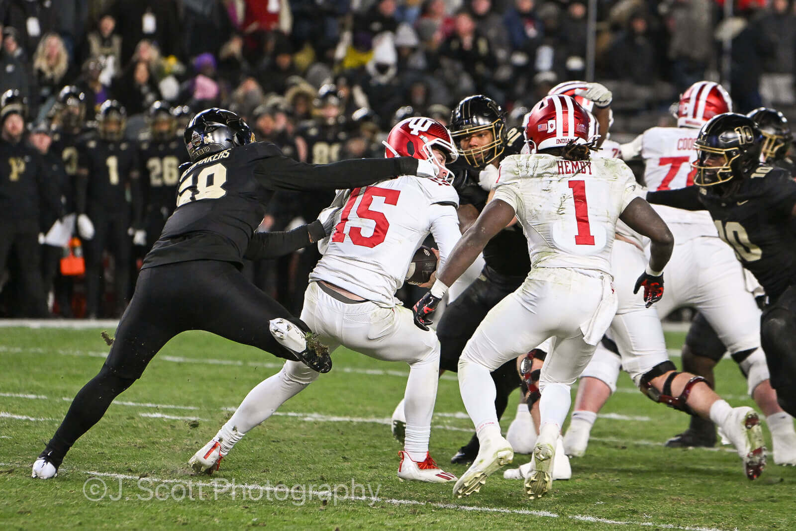 Photos from IU football's 56-3 win against Purdue.