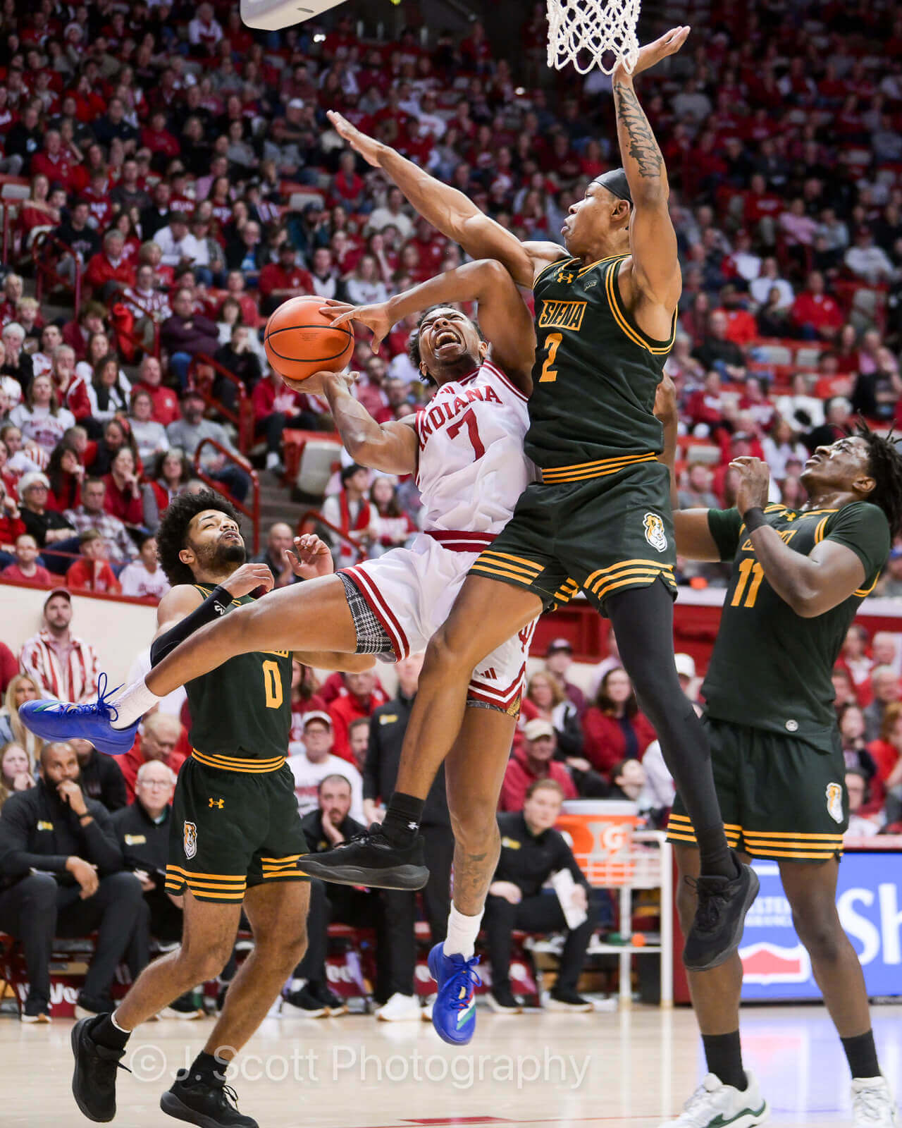 Photos from IU basketball's 81-60 win against Siena at Simon Skjodt Assembly Hall.