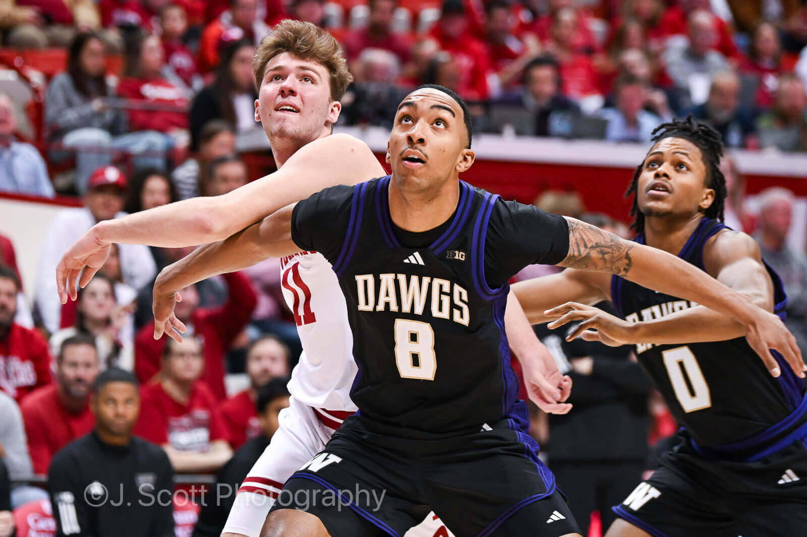 Photos from IU basketball's 90-80 win against Washington at Simon Skjodt Assembly Hall.